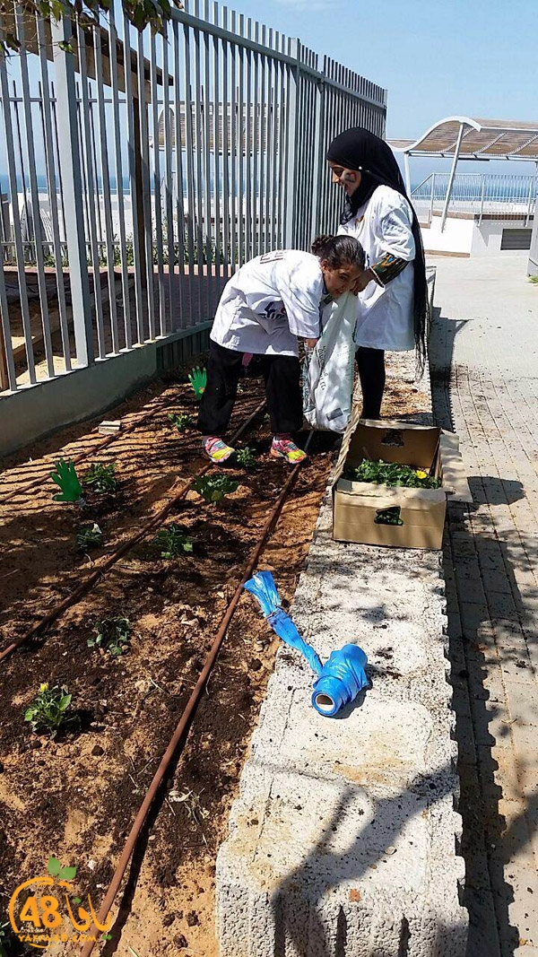 a3mal tayeba 7san3arafa (15).JPG